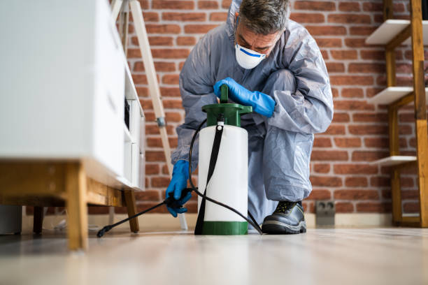 pest control exterminator services spraying termite insecticide pest control exterminator services spraying termite insecticide