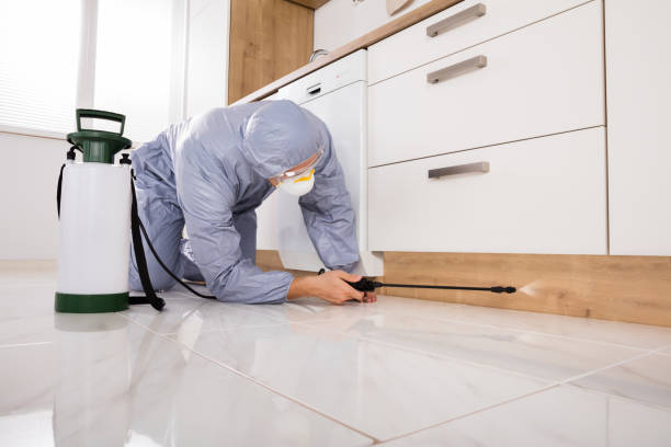 exterminator in workwear spraying pesticide with sprayer exterminator in workwear spraying pesticide with sprayer