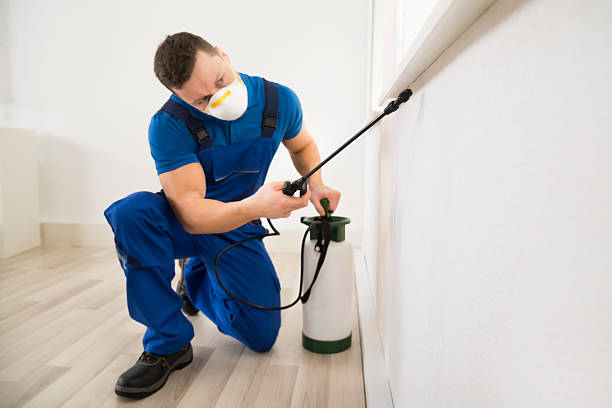 male worker spraying pesticide on window corner at home male worker spraying pesticide on window corner at home